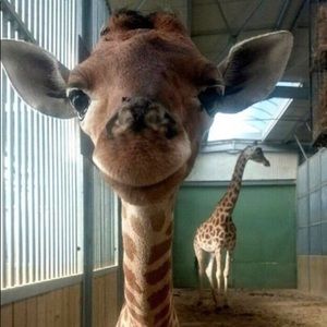 Meet your Posher, Christy